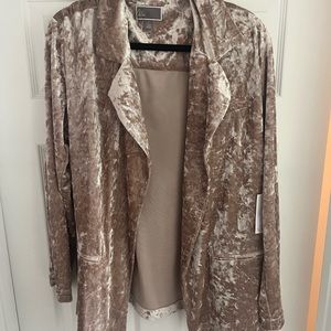 Chelsea28 Blush Pink Velvet Jacket
